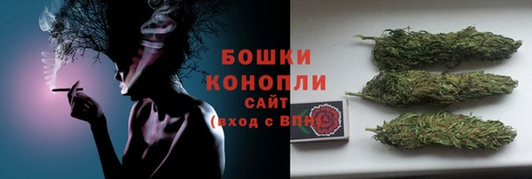 мдпв Новодвинск